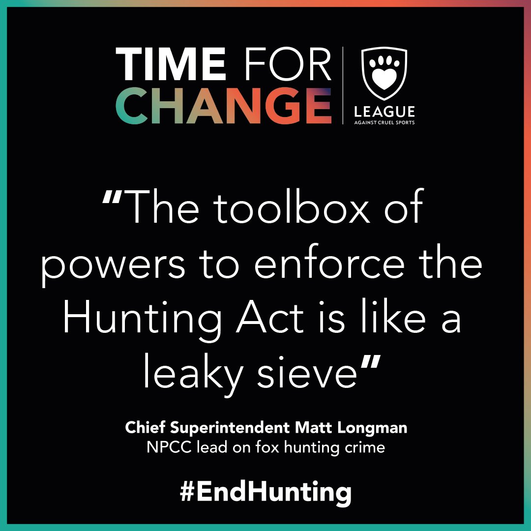 The Hunting Act is not working. It's weaknesses are regularly exploited by hunts.

@SteveReedMP @timfarron @SteveBarclay
Show you're on the side of animals by committing to #StrengthenTheBan and #EndHunting for good.

#TimeForChange @LeagueACS