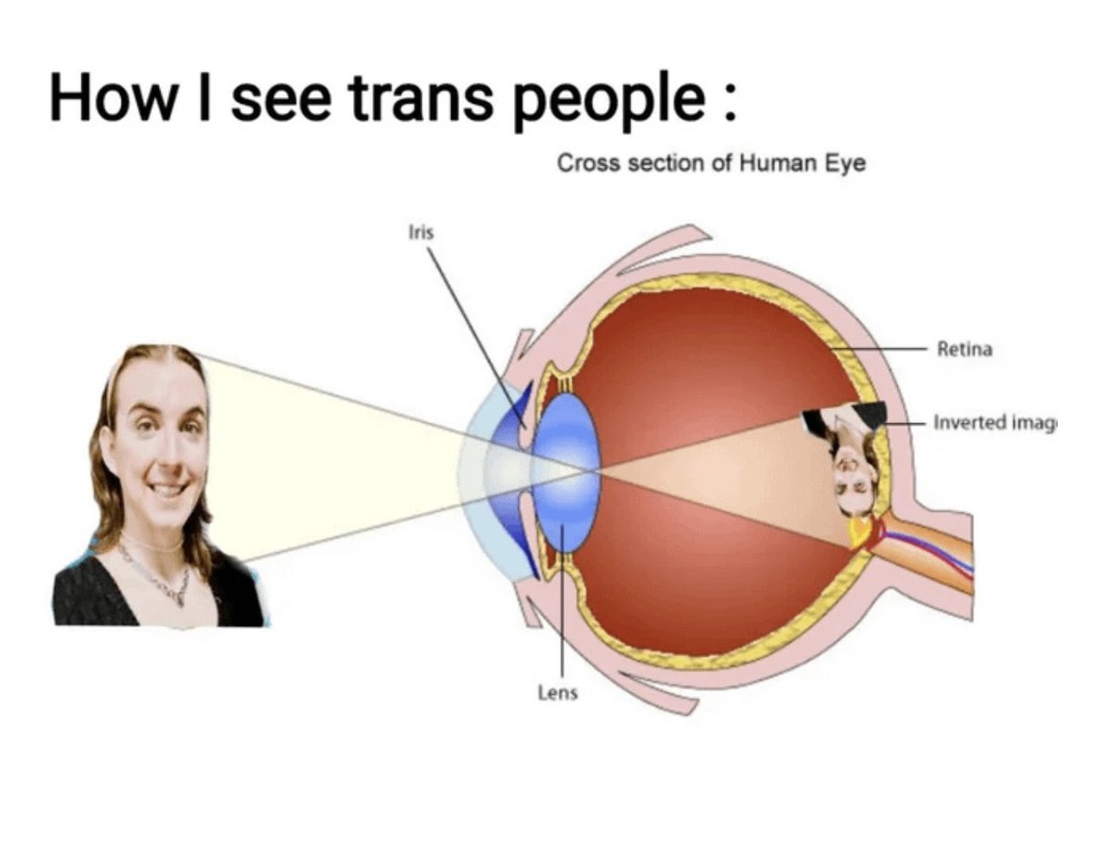 Since it's pride month I felt i had to post this;