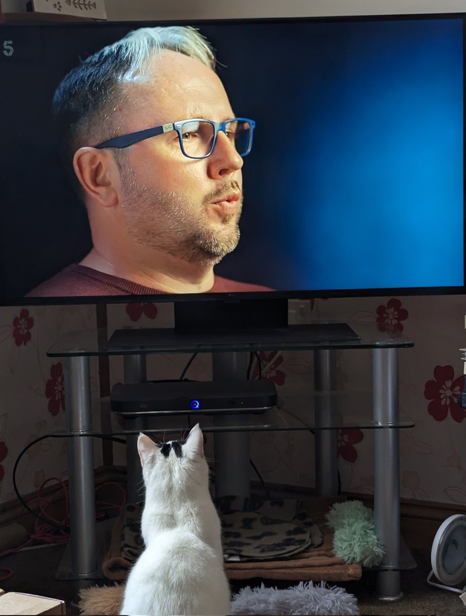 @bs_pearson @channel5_tv Bertie the cat enjoyed the show 😁