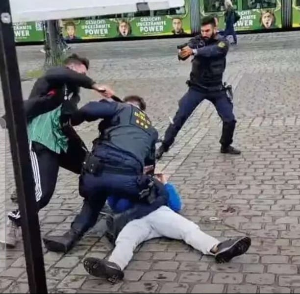 Khazar Milker Connoisseur tweet media