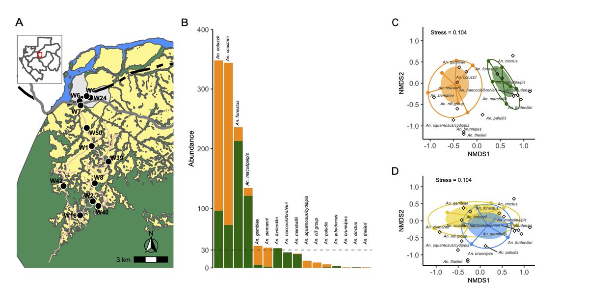 Why some Anopheles  feed on humans ? Here, we explored, for the first time, biting behavior of 7 Anopheles species, including major malaria vectors, between domestic and sylvatic settings. 👇onlinelibrary.wiley.com/doi/10.1111/ev…