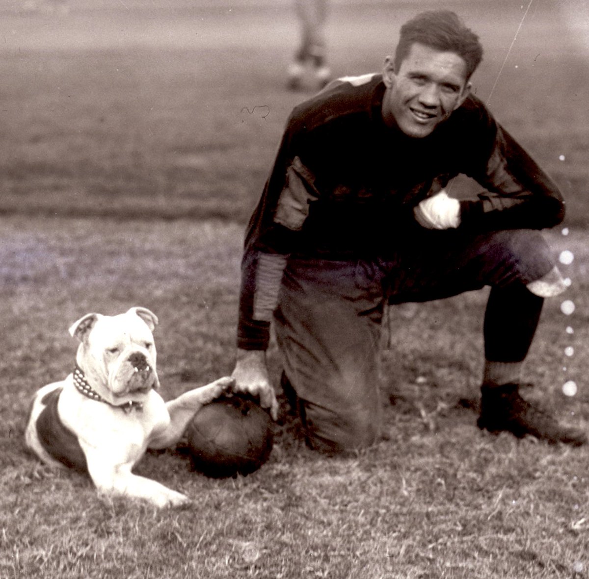 Mike Steely tweet media