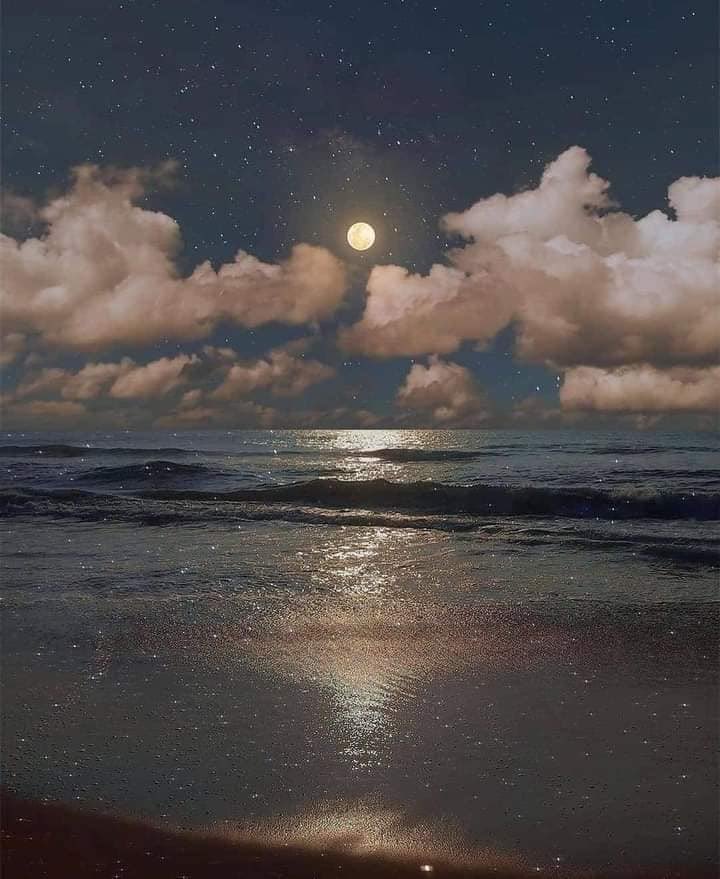 MOON LOVER tweet media