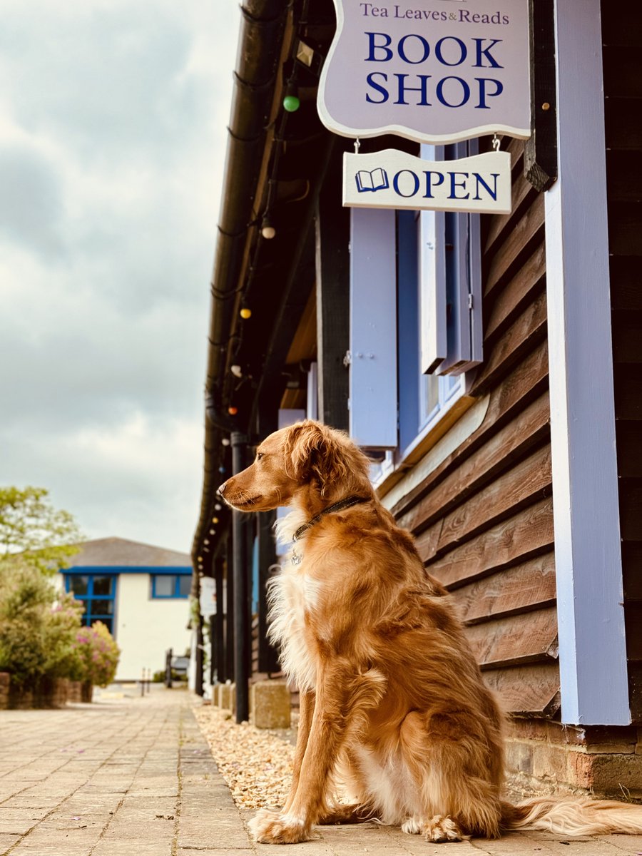 Official opening day is today (had to wait for us to make our ‘open sign of course!). The little #bookshop is now open! Always check our website for opening hours but today you can pop in between 10am and 4pm.
