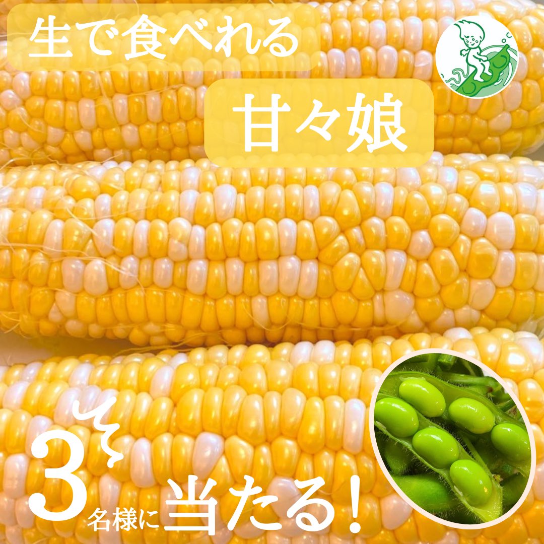 iwasakifarm's tweet photo. ＼#初夏の名物野菜コンビ／

生で食べれるフルーツコーン🌽
甘々娘&amp;はねっ娘枝豆のセットを 
 3名様にプレゼント致します🎁

◎応募方法
1️⃣ @iwasakifarm をフォロー
2️⃣このツイートを RT

◎6月7日23:59締切
#懸賞 #キャンペーン https://t.co/eHTnvo3mhO