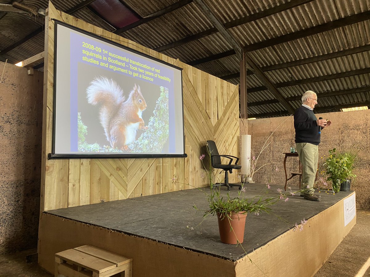 Meanwhile Forestry Scotland have obtained a Carte Blanche from Nature Scot to destroy nests of red squirrels, nesting birds and raptors within their commercial forests with utter impunity. Some care greatly about life. Others are darkly contemptuous.