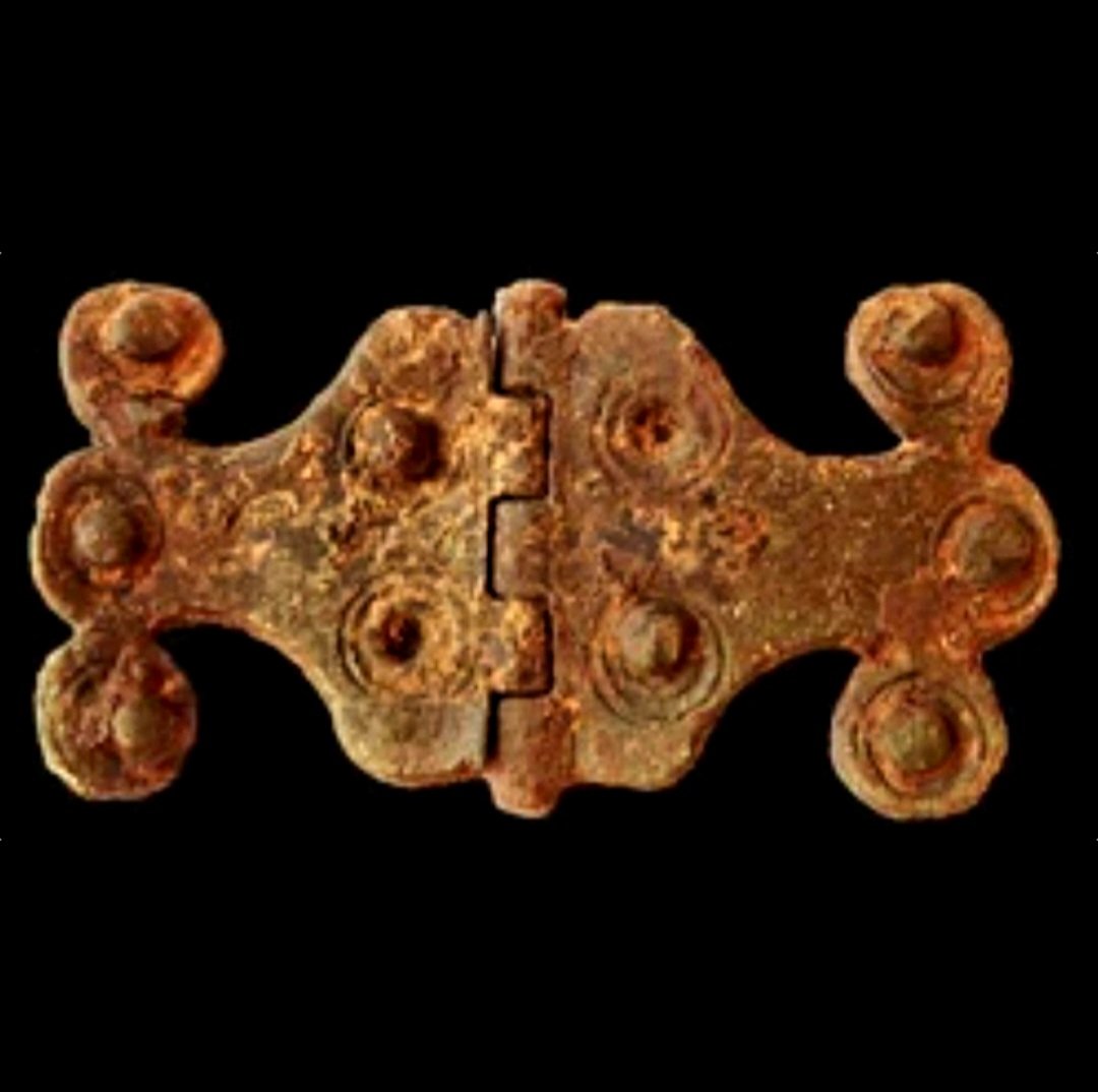 antinousgaygod's tweet photo. 🪷 1 June is the feast of #Cardea, ancient Roman goddess of thresholds, door handles and hinges. Her name comes from cardo, meaning door-pivot. According to Ovid, "her power is to open what is shut; to shut what is open." Without hinges doors would just be slabs of wood, or would not exist at all, and all entrances would be permanently open to anyone or anything. Thus, she protected children against vampires and witches, and was also the benefactress of craftsmen. Hinges can open quietly, or creak to let us know they are being moved. They can make jewellery easier to wear, or boxes more secure or open your lap top or folding phone. They are one of those small domestic things that our lives would be more awkward without. All hail Cardea, may your hinges always swing freely! 🪷