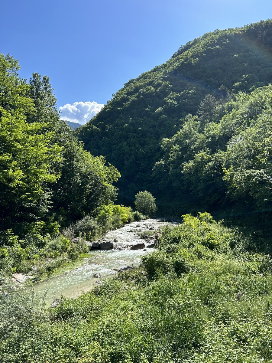 katak1979's tweet photo. giugno nella contea. https://t.co/k65fJB0EOF