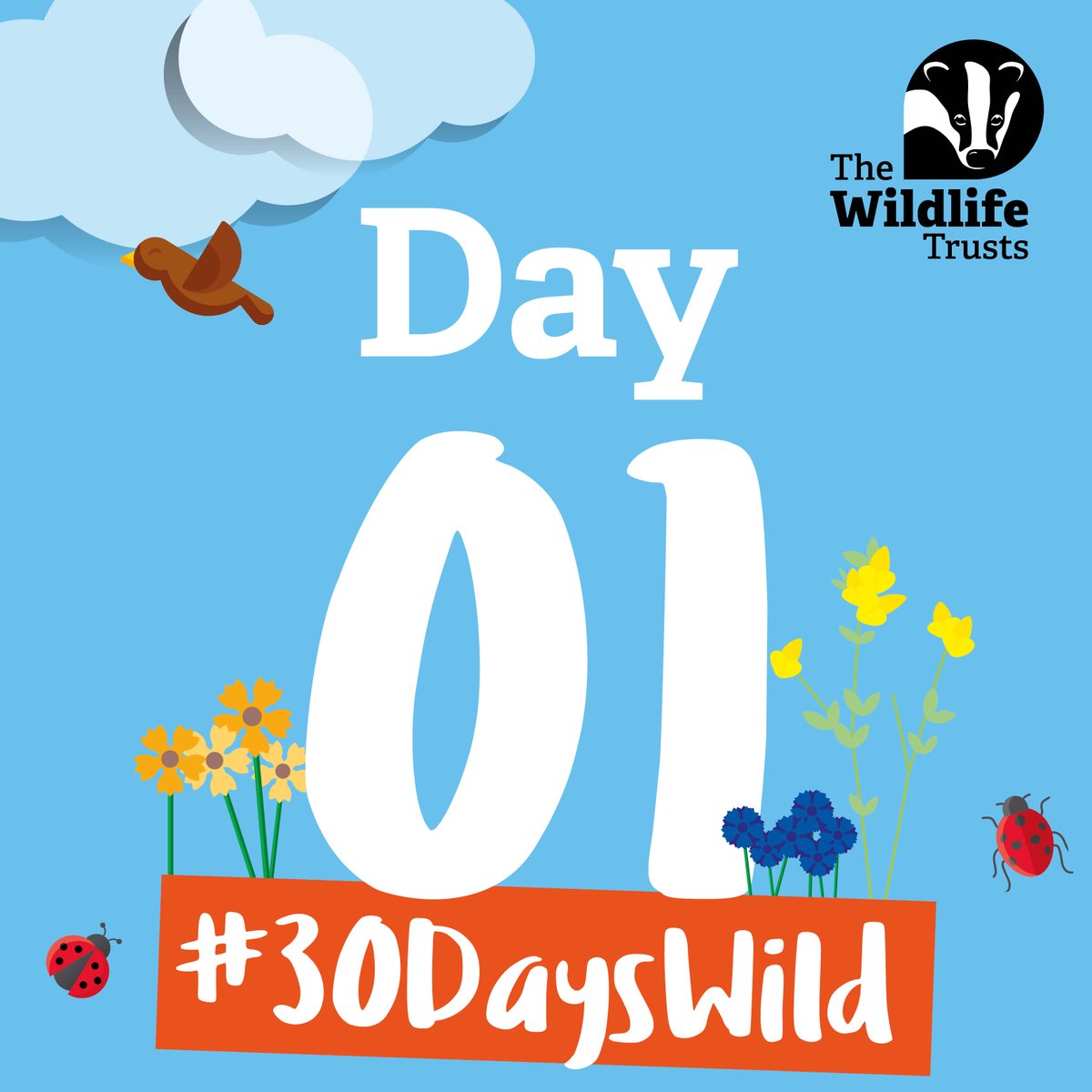 🦋 Go wild this June with #30DaysWild! Do one 'wild' thing every day in June & join the nation's biggest nature challenge. With weekly themes to get you started, how you choose to take part is up to you! Sign up for your free pack: gloucestershirewildlifetrust.co.uk/30-days-wild