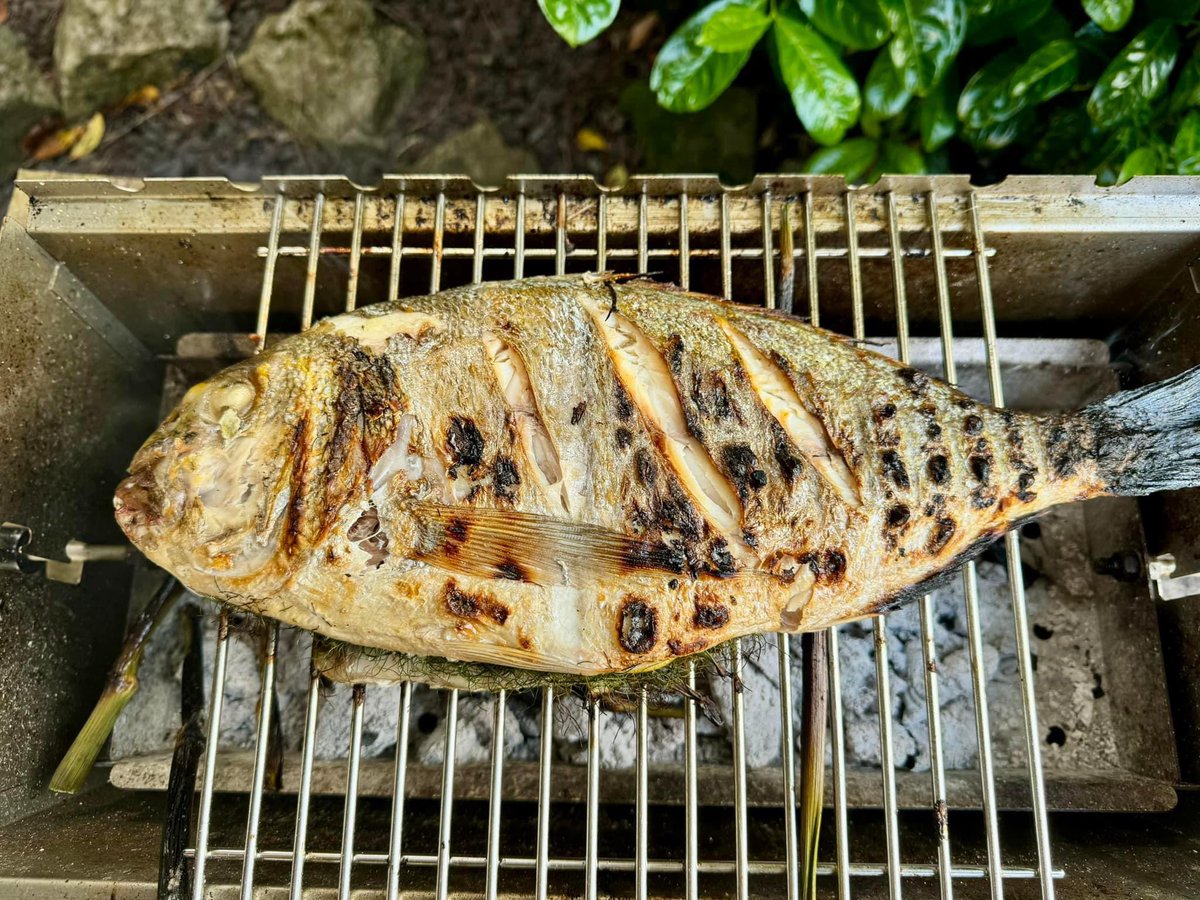 This 1.5kg gilthead bream was grilled directly with the belly stuffed with fennel leaves, garlic and lemon. Seasoned with sea salt. On turning the fish it was sprinkled with Ricard pastis.

THÜROS B2 Grill: thueros.com/UK/en/thueros-…