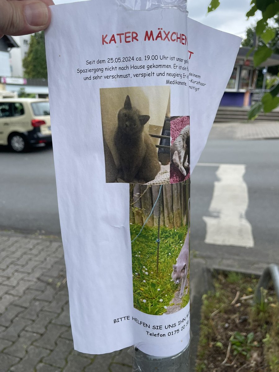 stillbauer's tweet photo. Mäxchen-News: Es gibt jetzt Fotos. Auch wenn die Kinderzeichnung natürlich schon sehr gut und aussagekräftig war. Findet Mäxchen! https://t.co/YRKw3VtEev