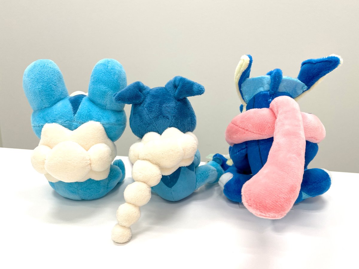 ポケモンフィット　ケロマツ、ゲコガシラ、ゲッコウガ 💙Pokémon fit❤ ／／ /  ＼＼ 本日、最後にご紹介するのは