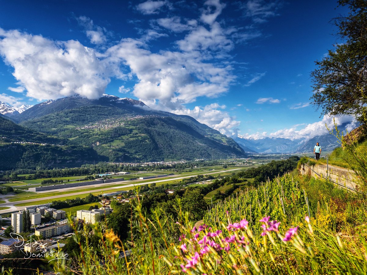 Prendre un peu de hauteur, et savourer ce merveilleux décor, Montorge, Sion 🏔️🤩💛💙🌸🇨🇭

#valais #suisse #switzerland