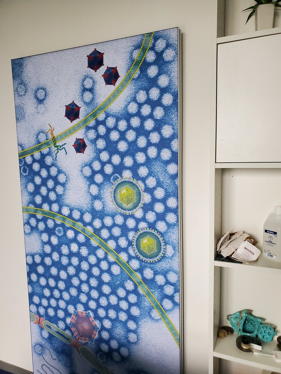 Luftig Lab tweet media