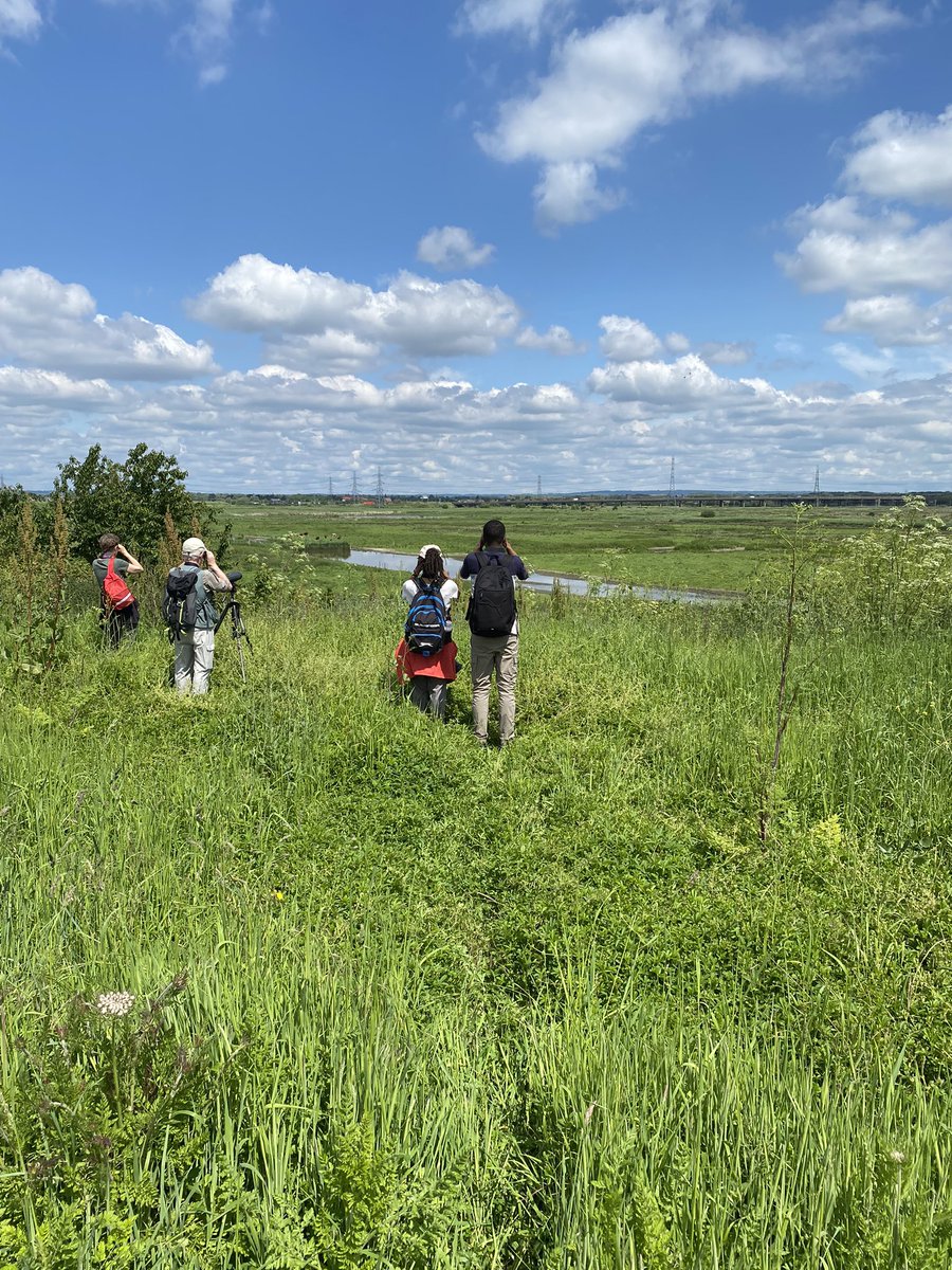 Gehan de Silva W (@gehan_de_silva) on Twitter photo Sat 25 May 2024, London Bird Club Walk <a href="/LondonBirdClub/">London Bird Club</a> <a href="/LNHSoc/">LNHS</a> to #RSPB Rainham Marshes <a href="/RSPBRainham/">RSPB Rainham Marshes</a>. 65 species including Bearded Tit, Lesser Whitethroat & Marsh Harrier. For free, guided nature walks in London, download the LNHS Programme on lnhs.org.uk Sat 25 May 2024, London Bird Club Walk <a href="/LondonBirdClub/">London Bird Club</a> <a href="/LNHSoc/">LNHS</a> to #RSPB Rainham Marshes <a href="/RSPBRainham/">RSPB Rainham Marshes</a>. 65 species including Bearded Tit, Lesser Whitethroat & Marsh Harrier. For free, guided nature walks in London, download the LNHS Programme on lnhs.org.uk