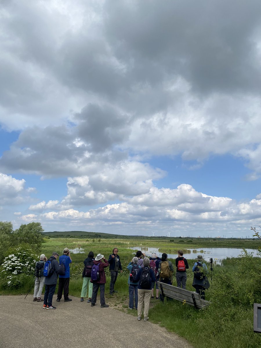 Gehan_de_Silva's tweet photo. Sat 25 May 2024, London Bird Club Walk @LondonBirdClub @LNHSoc to #RSPB Rainham Marshes @RSPBRainham. 65 species including Bearded Tit, Lesser Whitethroat &amp; Marsh Harrier. For free, guided nature walks in London, download the LNHS Programme on https://t.co/PycietwFUD https://t.co/2OO20VZ84I