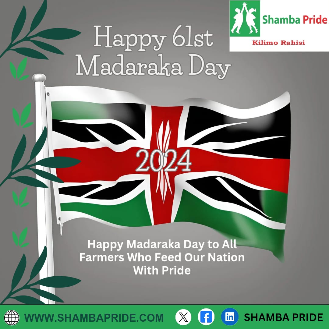 #happymadaraka