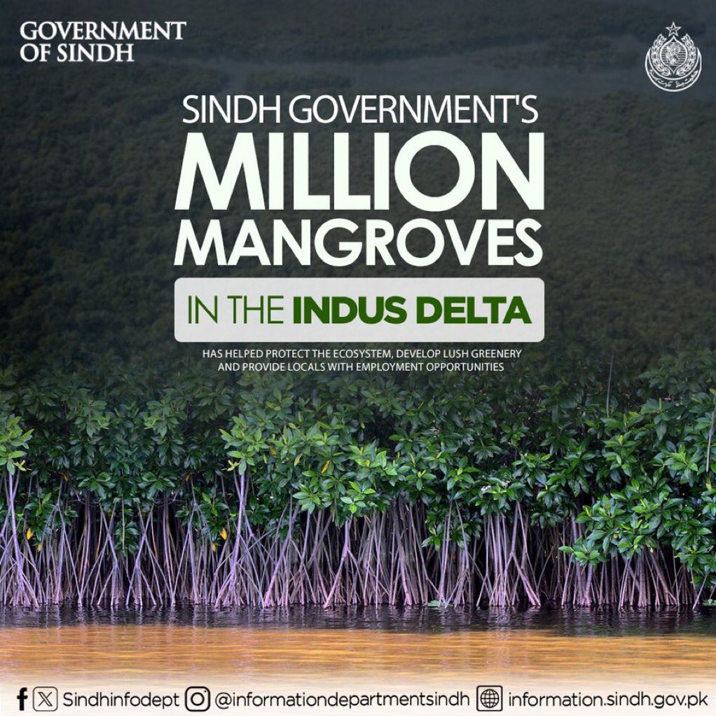 Sindh Government's extensive mangrove plantation in the Indus Delta has helped protect the ecosystem, develop lush greenery and provide locals with employment opportunities.
#SindhGovt #ThisIsPPP #PPPDigital_Korangi #Sindh