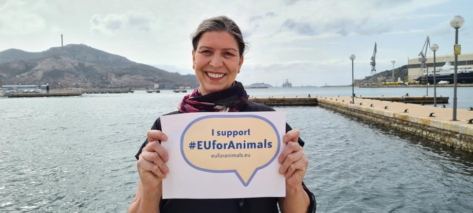 Candidates in the 2024 European elections who will support #EUforAnimals in the next Parliament if they are elected. Introducing @anjahazekamp - candidate for @PvdDEuropa / @PartijvdDieren in the upcoming elections. If you are from The Netherlands, don't forget to vote for her.