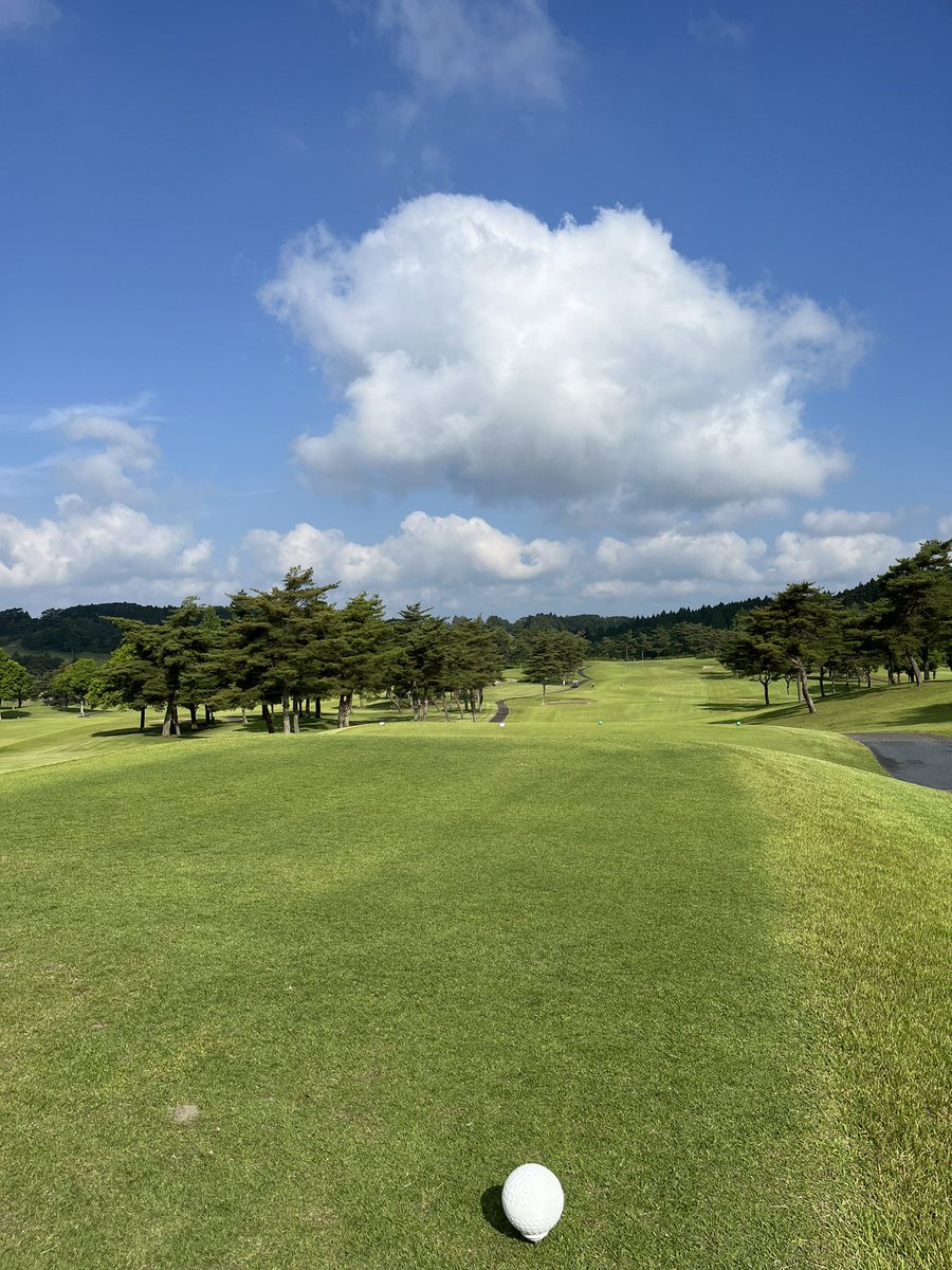 maxpoweracc's tweet photo. 看板猫🐱のいるゴルフ場⛳️ https://t.co/YoeZsCb7cy