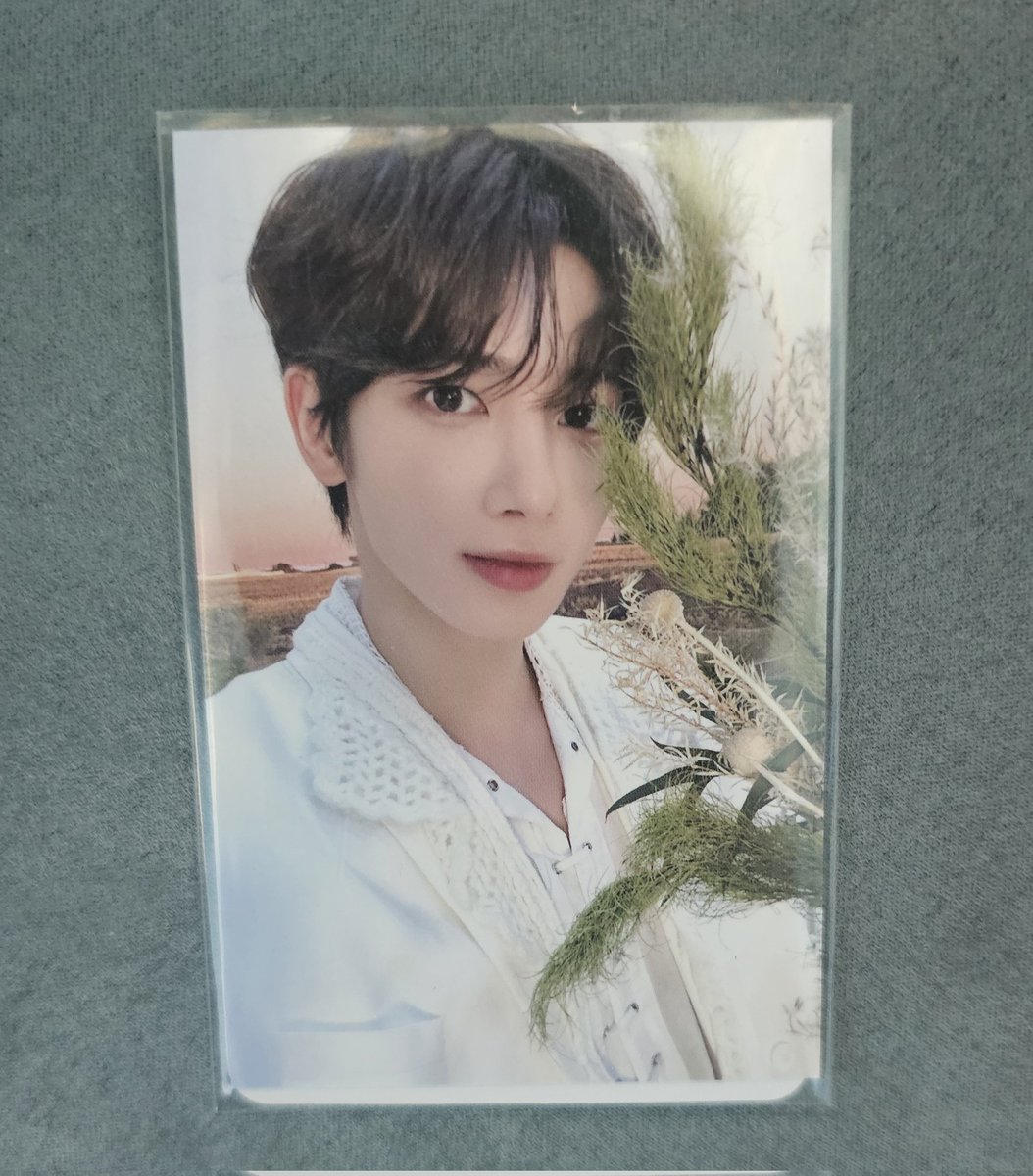 #rt 
모아존 태현이가 어쩌다2개가 돼서 하나 
모아 한정 알티추첨 한분께 드립니당!
당발 오늘 자정 많관부~~