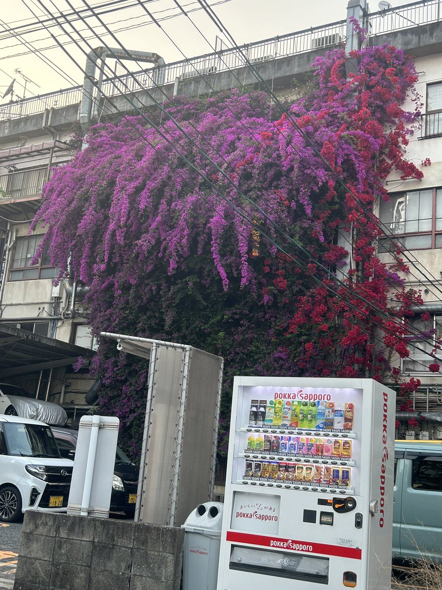pissyan's tweet photo. 府内のビルが大変に燃えてます https://t.co/N7vO6sK1V3