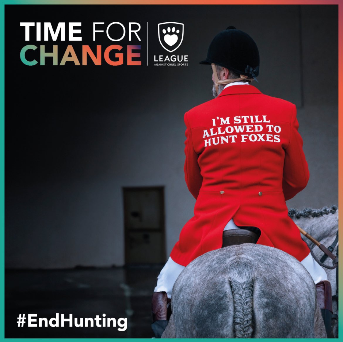 HullWildLifeProtectors tweet media