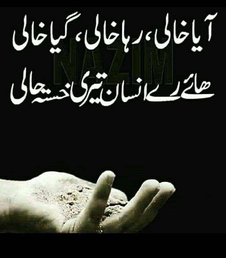 mehar .g tweet media
