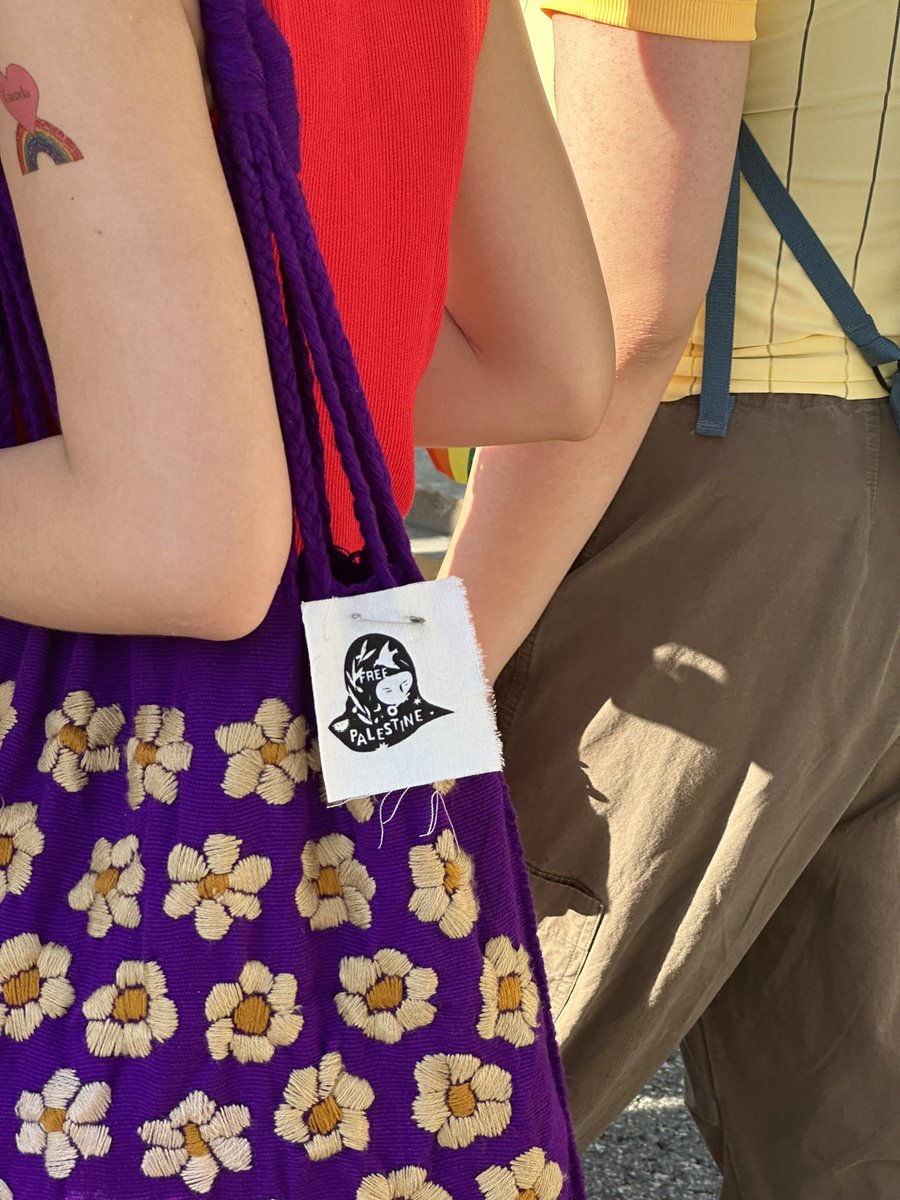 palestine signs at seoul pride 🏳️‍🌈🇵🇸