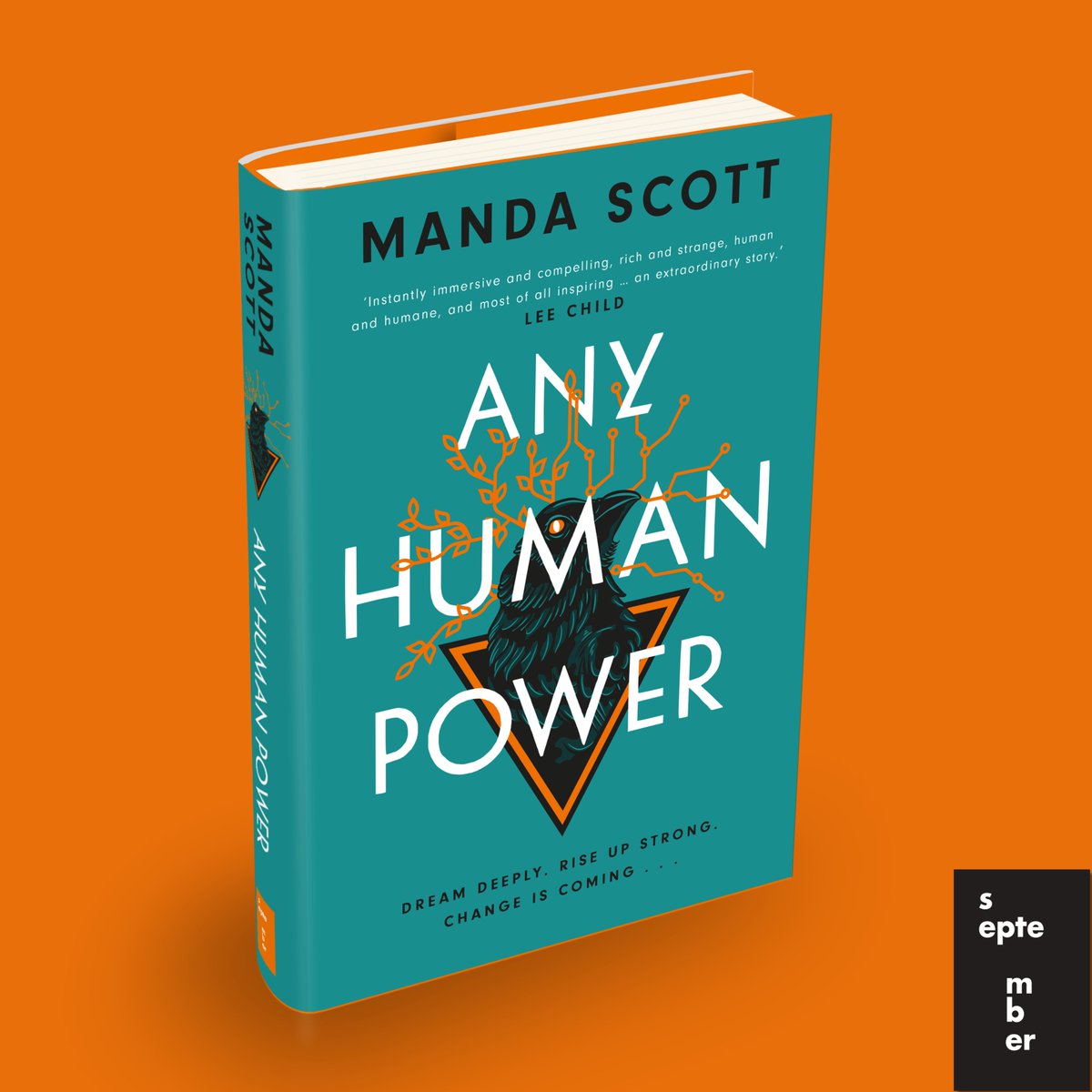 #AnyHumanPower is out today Lee Child - 'a Remarkable Story' Nathalie Nahai - 'a Clarion Call for our Times' listen to the podcast where we explore what it means and why: accidentalgods.life/any-human-powe… @Septemberbooks #GE24 #ChangeIsComing