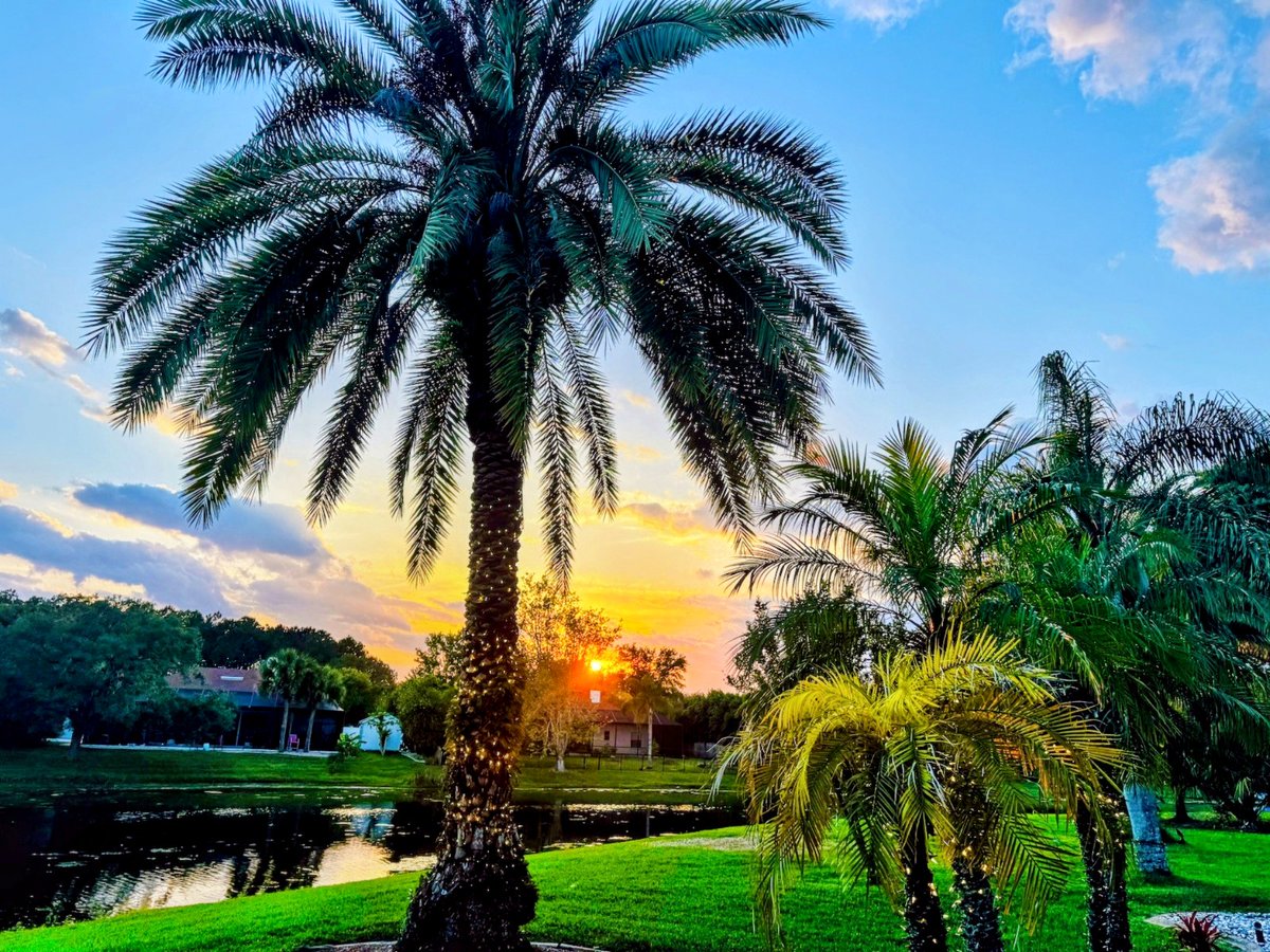 Sandbar Capital Group (@sandbarcap) on Twitter photo 