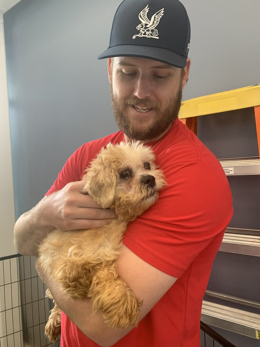 Swirvin_irvin19's tweet image. Today is the big day! Make sure you stop by @BARCS_SHELTER to help. Please use the emergency wishlist while donating today. 

And the last photo of this senior pup is one of the new dogs that came in. It might be the cuddliest of cuddler’s! Come meet your future fur baby today.