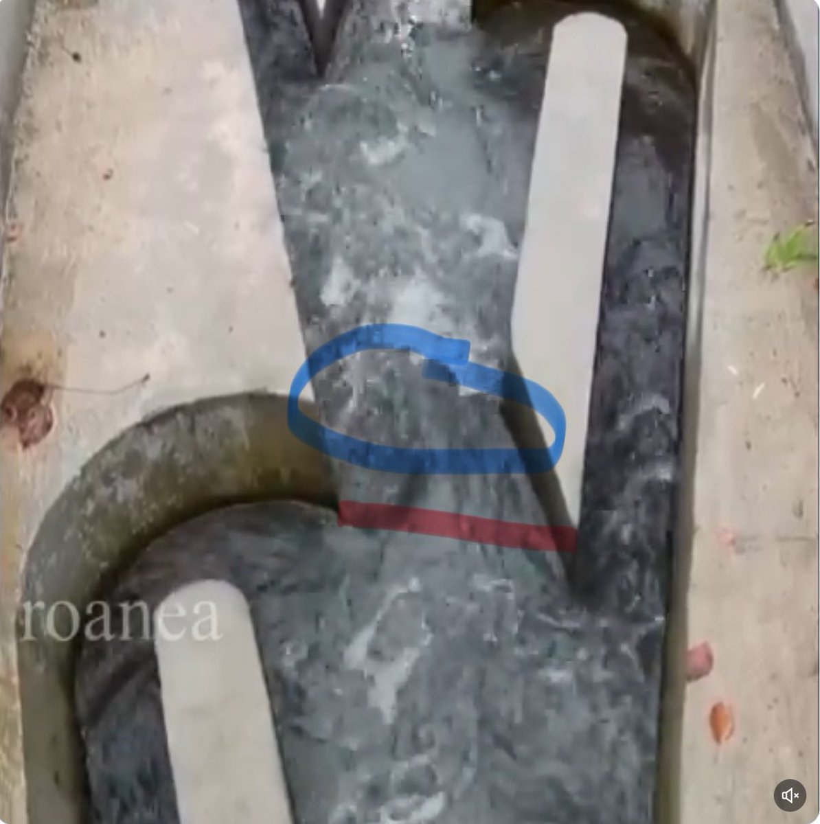 Pythia, the Oracle tweet media