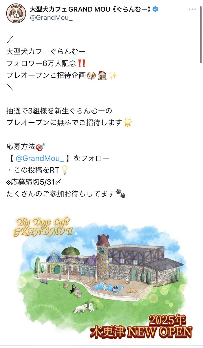 GrandMou_'s tweet photo. プレオープンご招待企画明日で応募締切です🎁
固定から参加できますのでぜひ～🐾🤍 https://t.co/vkfQ67Scgb