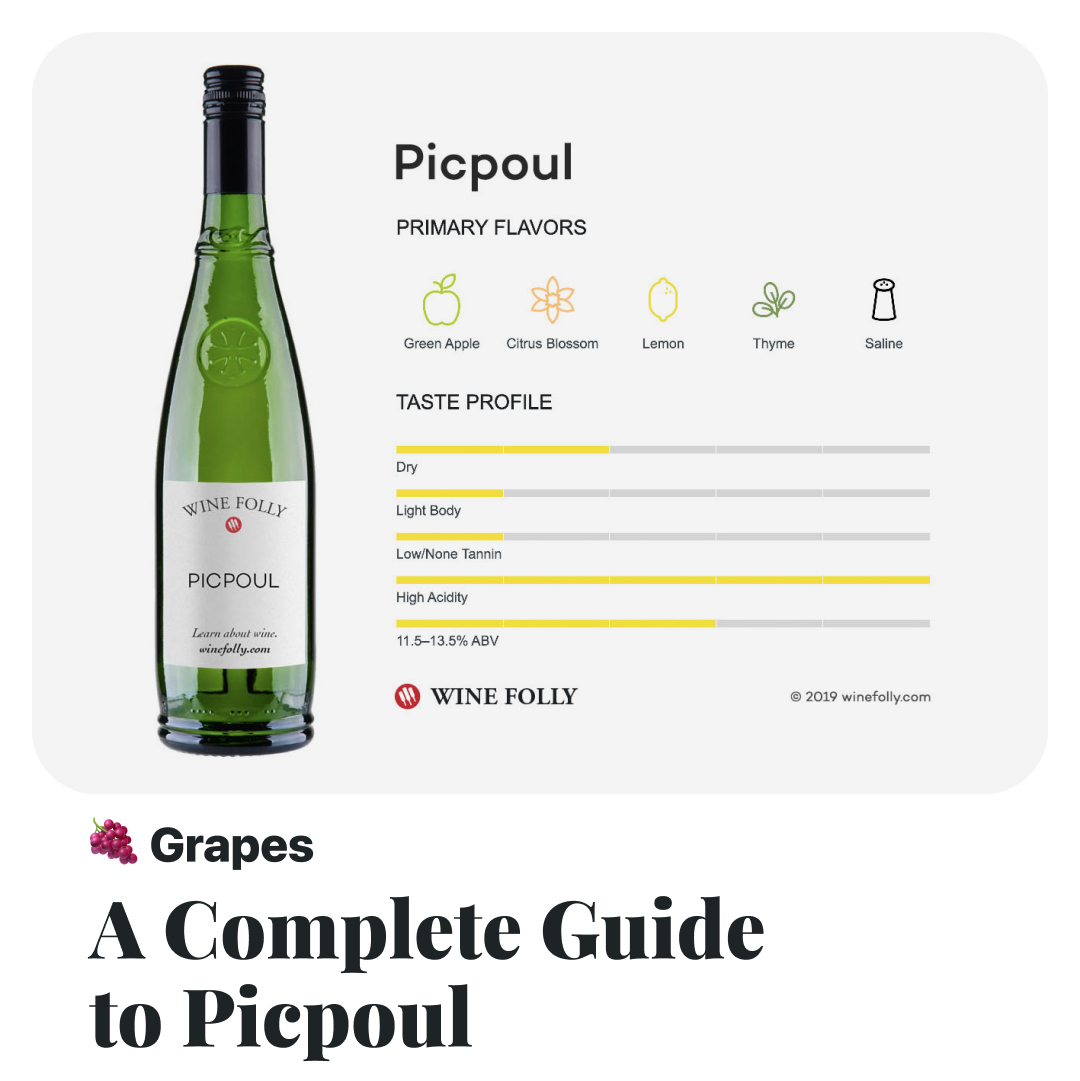 🍇 Have you experienced the lip zapping acidity of Picpoul? Learn more about this ancient French grape ↓ winefolly.com/grapes/picpoul/ #winegrapes #wine
