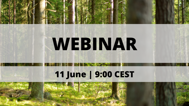 The Lithuanian Forest Certification Scheme has submitted its national forest certification system to PEFC for assessment. The public consultation opens 11 June - learn more in our upcoming webinar! Register now 👉 treee.es/litweb