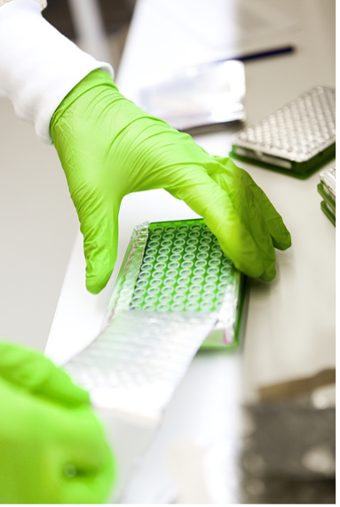 DTGenomics's tweet photo. 𝗣𝗿𝗲𝘀𝘀 𝗥𝗲𝗹𝗲𝗮𝘀𝗲: 𝗗𝗼𝘃𝗲𝘁𝗮𝗶𝗹 𝗚𝗲𝗻𝗼𝗺𝗶𝗰𝘀 𝗟𝗮𝘂𝗻𝗰𝗵𝗲𝘀 𝗔𝘀𝘀𝗲𝗺𝗯𝗹𝘆𝗟𝗶𝗻𝗸™ 𝗔𝘀𝘀𝗮𝘆, 𝗨𝗻𝗹𝗼𝗰𝗸𝗶𝗻𝗴 𝗙𝗮𝘀𝘁𝗲𝗿 𝗔𝗰𝗰𝗲𝘀𝘀, 𝗠𝗼𝗿𝗲 𝗔𝗰𝗰𝘂𝗿𝗮𝘁𝗲 𝗚𝗲𝗻𝗼𝗺𝗲𝘀 𝗳𝗼𝗿 𝗕𝗶𝗼𝗱𝗶𝘃𝗲𝗿𝘀𝗶𝘁𝘆 𝗥𝗲𝘀𝗲𝗮𝗿𝗰h

https://t.co/9NGpPEdiFt https://t.co/bJ7x3lcSuK
