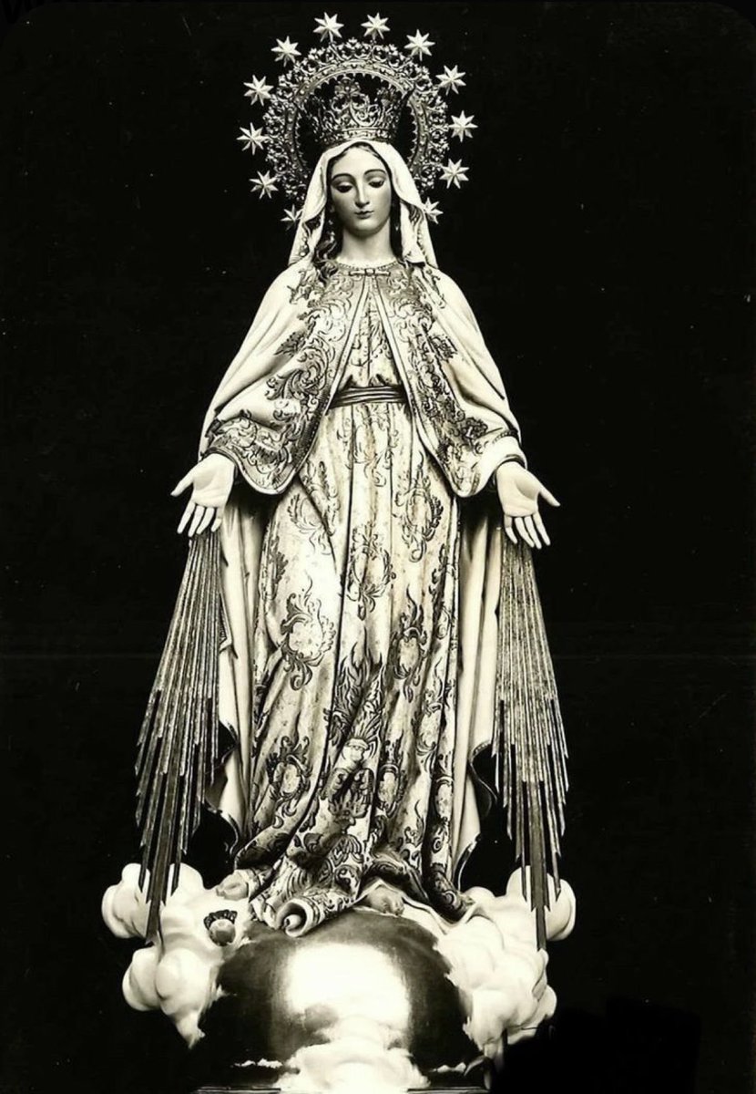 That Trad Gal tweet media