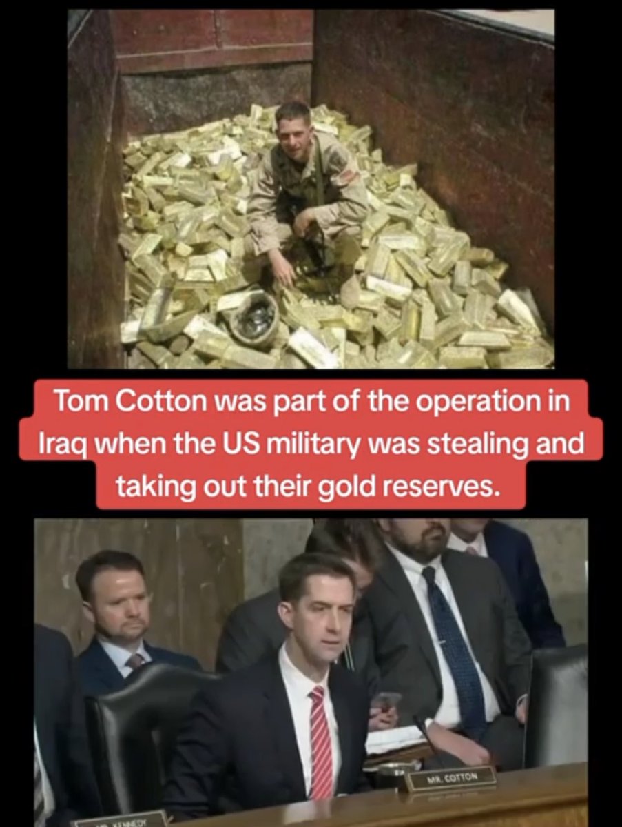 @AdameMedia By the way, the soldier at the top stealing Iraqi gold is Tom Cotton, a member of the United States Senate.