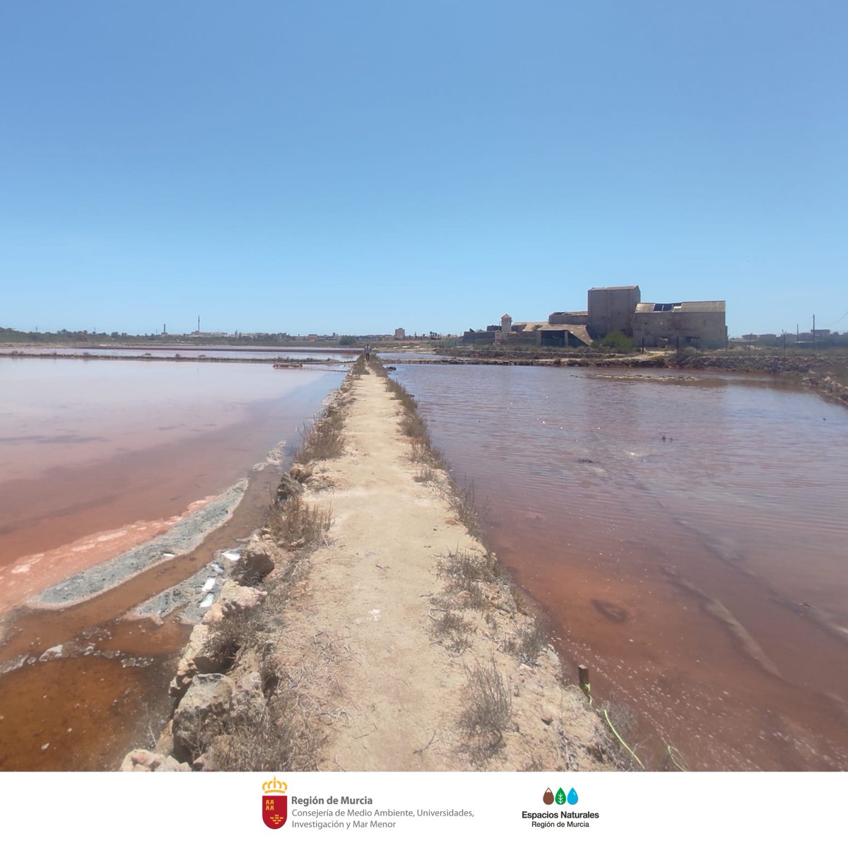 SalinasSPedroPR's tweet photo. El #ServiciodeInformación de #SalinasSPedroPR asiste al "Taller de restauración ecológica en salinas"
Enmarcado en el Proyecto #RESALAR: "Regeneración de #Salinas y #Arenales en el #MarMenor” promovido por la #FundaciónANSE
#SalinasDeMarchamalo https://t.co/JS247GHAvI