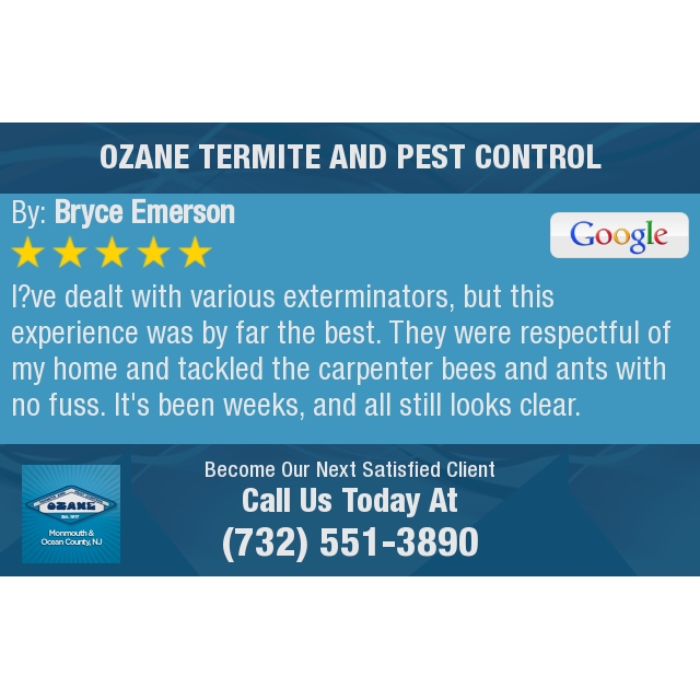 5 Star: Bryce E. "I’ve dealt with various exterminators, but this experience was by far the best...."