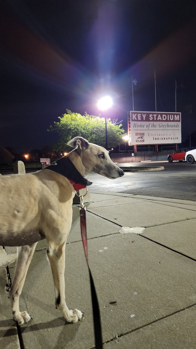 Now that I was able to get some more sleep, I'm happy to share pictures from this morning's World Series send-off for @UIndyBaseball. It might have been 3 a.m. but it was all smiles. Good luck, Hounds!
#uindy #gohounds #weareindianapolis #gradythegreyhound