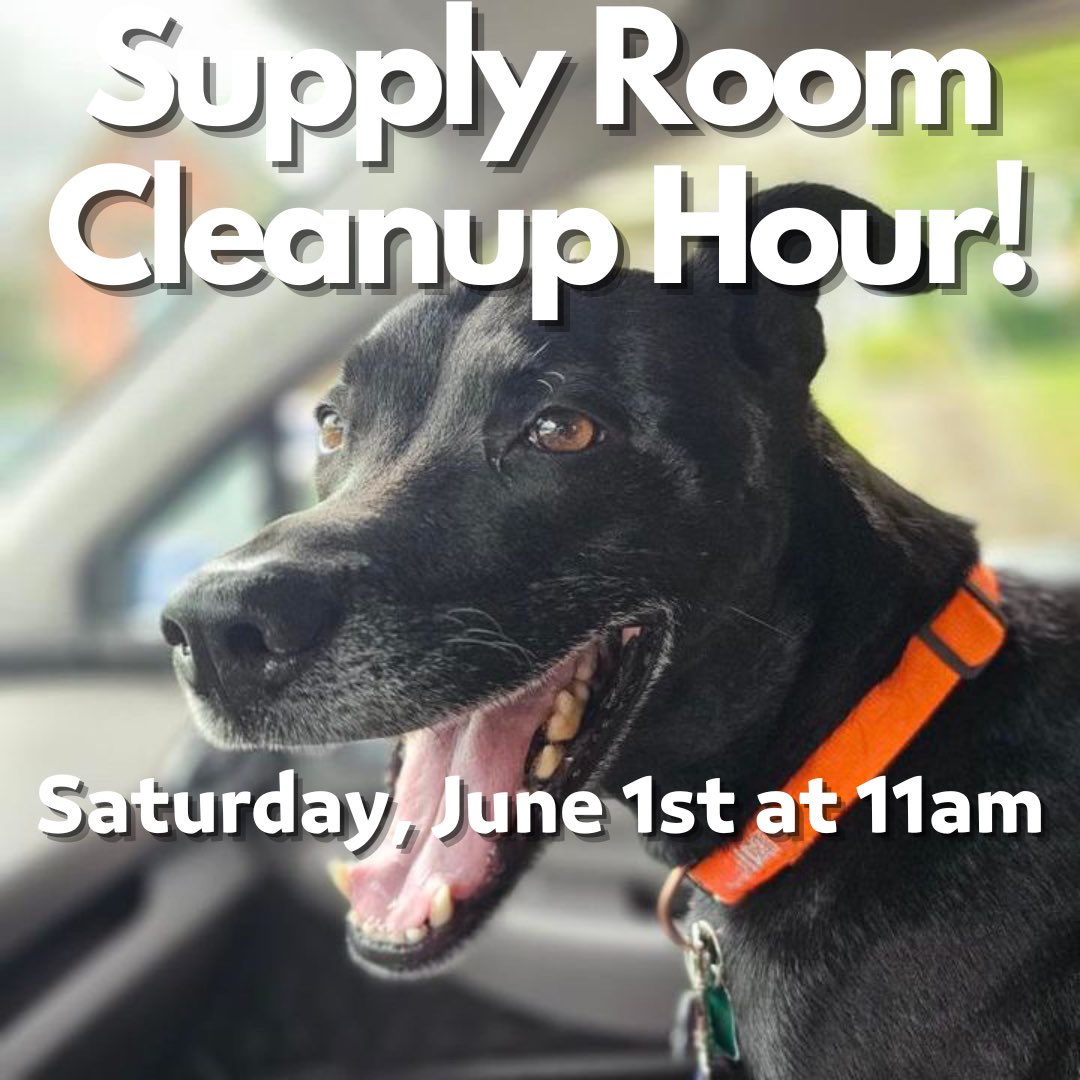 We need a little help organizing our supplies! Food, litter, leashes, harnesses, beds, crates and more... it's overflowing! If you have a gift for organization and an hour to spare, we would love to see you this Saturday! Sign up at hon.org/opportunity/a0… @HONashville