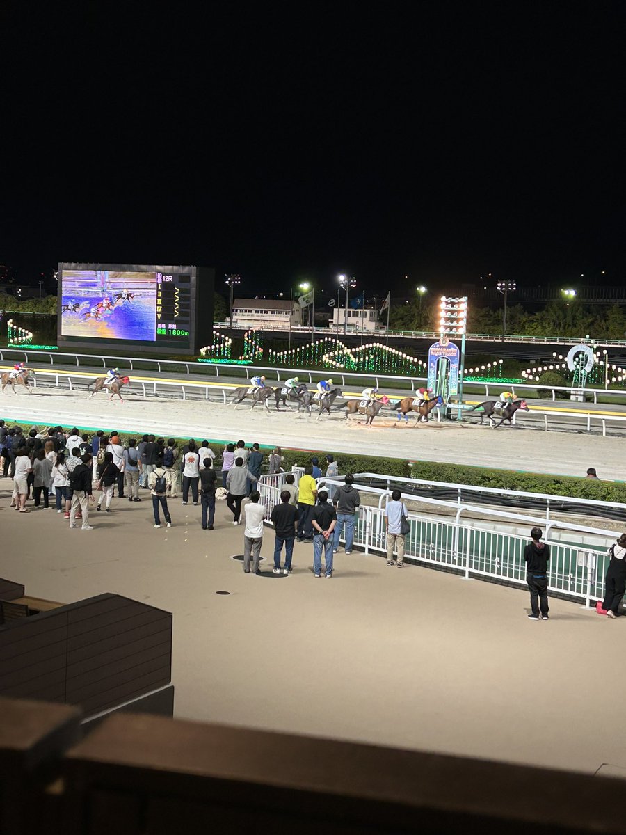 はじめての地方現地❕船橋🌟
パドックもレースも距離近くてすごい迫力❣️夜に馬ｻﾝたち見るのも初めてで不思議な感じ〜写真撮るのめちゃくちゃ難しいね、、
誘導馬さんもお姉さんも可愛くて軽率に好きになっちゃった( ᴖ ·̫ ᴖ )︎︎👍🏻🌟