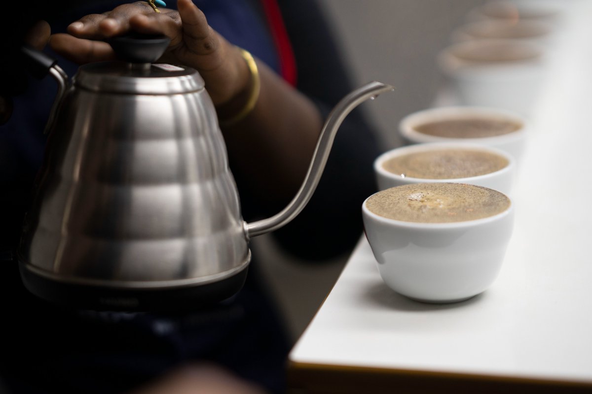 QuestionCafeRW's tweet photo. Have a blast! Join our two-hour masterclass and dive deep into the art of coffee. Expertise and passion combined.

Enroll now: https://t.co/u3WUGmuHNC

#CoffeeMasterclass #LearnFromTheBest #QuestionCoffee #Poweredbywomen https://t.co/gj1CTuBxo5