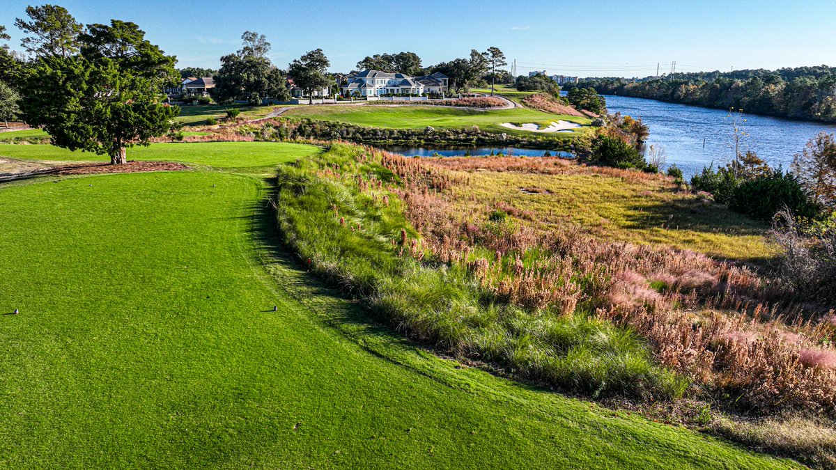 Play Golf Myrtle Beach tweet media