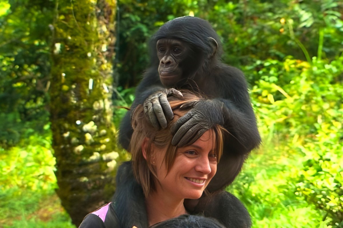 🧠 <a href="/KriefSabrina/">Sabrina Krief</a>, experte des #chimpanzés vient à #ClermontFd en collaboration avec <a href="/InfiniSciences/">InfiniSciences</a> pour nous parler des secrets médicinaux des grands singes "savants" de plus en plus menacés🐒🌍
📅 3 juin 2024 - 20h00
📍 Espace Conchon
👉 bit.ly/3R63aCW