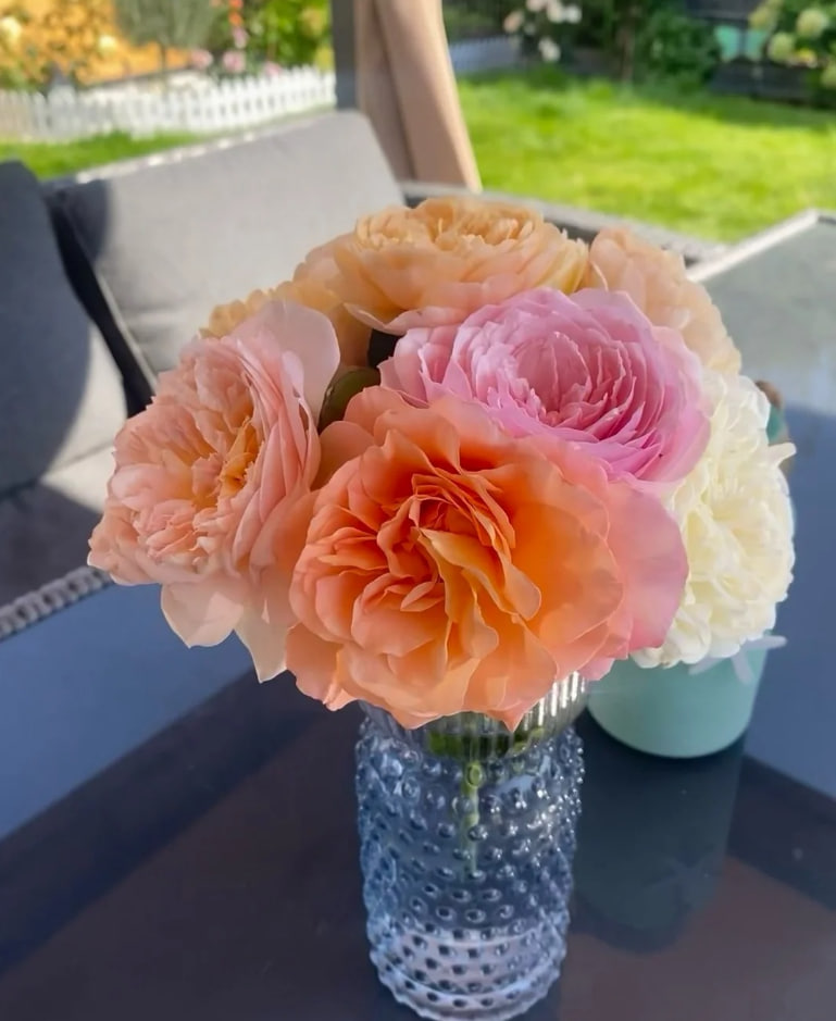 phulushe's tweet image. Looking forward to this year's flower season🌹