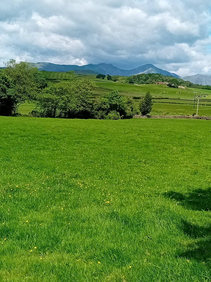 TheLengthsman's tweet photo. Not a bad view from the office this morning in #Lowick https://t.co/uzzyU2aZfU