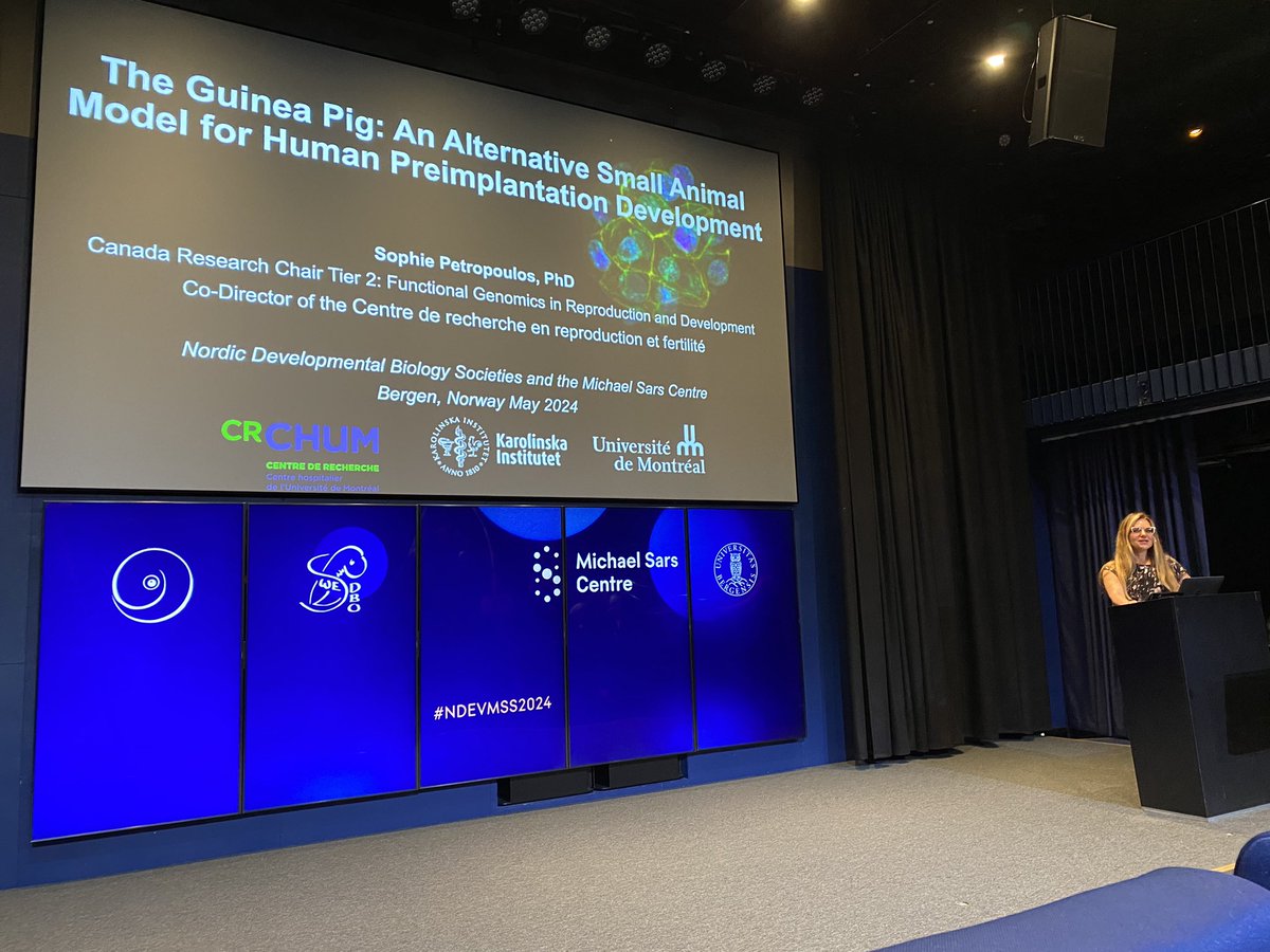 Luiza Ghila (@luizaghila) on Twitter photo Sophie Petropoulos <a href="/Scwin2/">Sophie Petropoulos</a> discussing about Preimplantation Development #NDEVMSS2024 <a href="/swedbo/">Swedish Developmental Biology Organization SWEDBO</a> Sophie Petropoulos <a href="/Scwin2/">Sophie Petropoulos</a> discussing about Preimplantation Development #NDEVMSS2024 <a href="/swedbo/">Swedish Developmental Biology Organization SWEDBO</a>